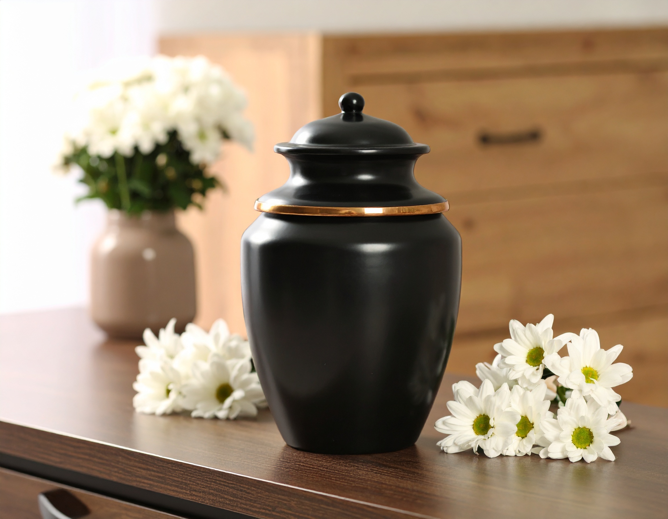 Photo de Terra Funeraire